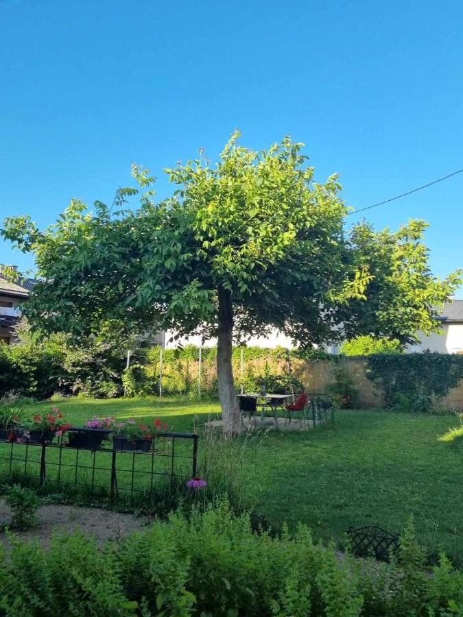 Camping Under The Walnut In Your Own Tent On A Shared Lot And Shared Bathroom Ljubljana Exterior photo