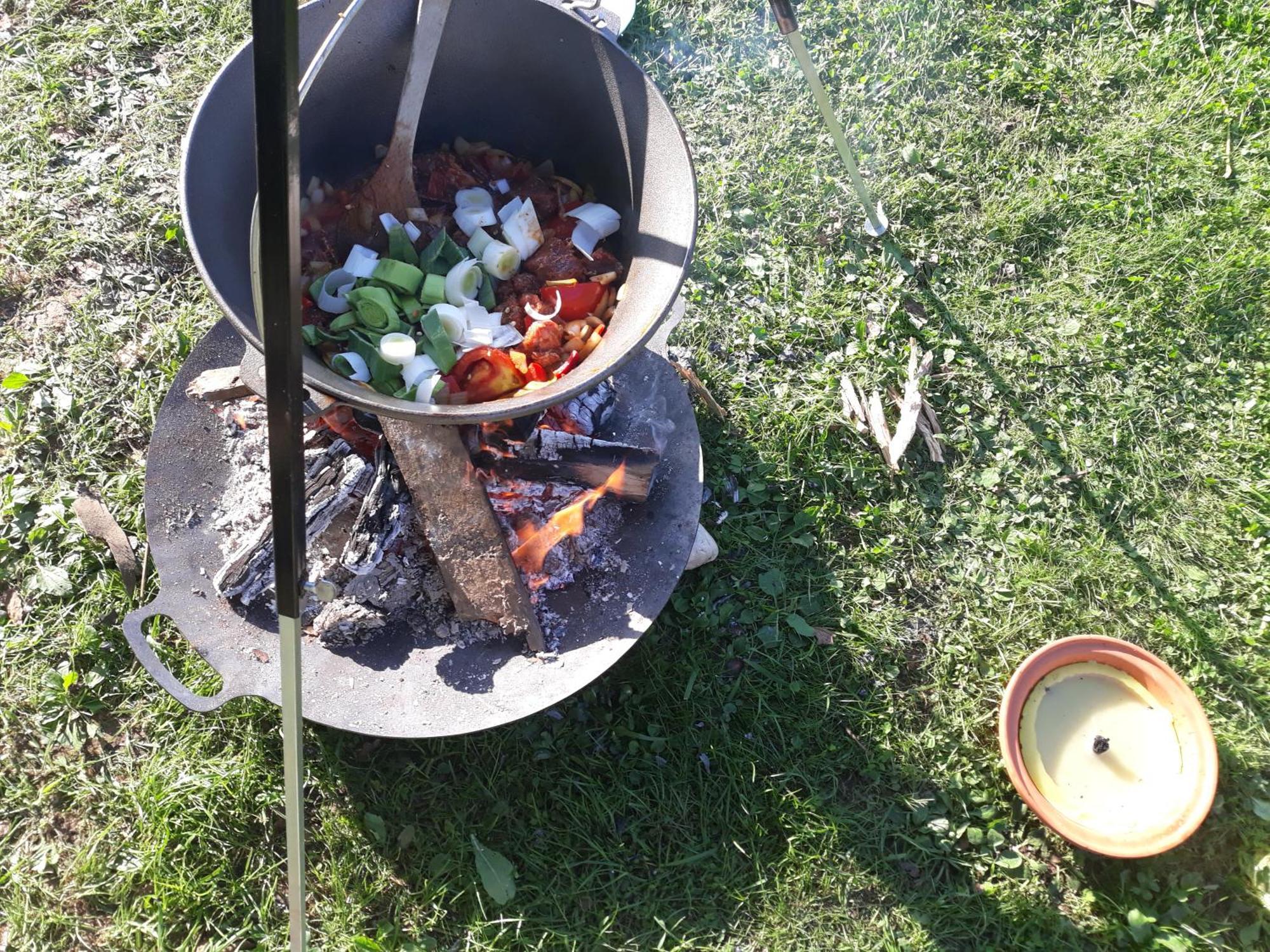 Camping Under The Walnut In Your Own Tent On A Shared Lot And Shared Bathroom Ljubljana Exterior photo