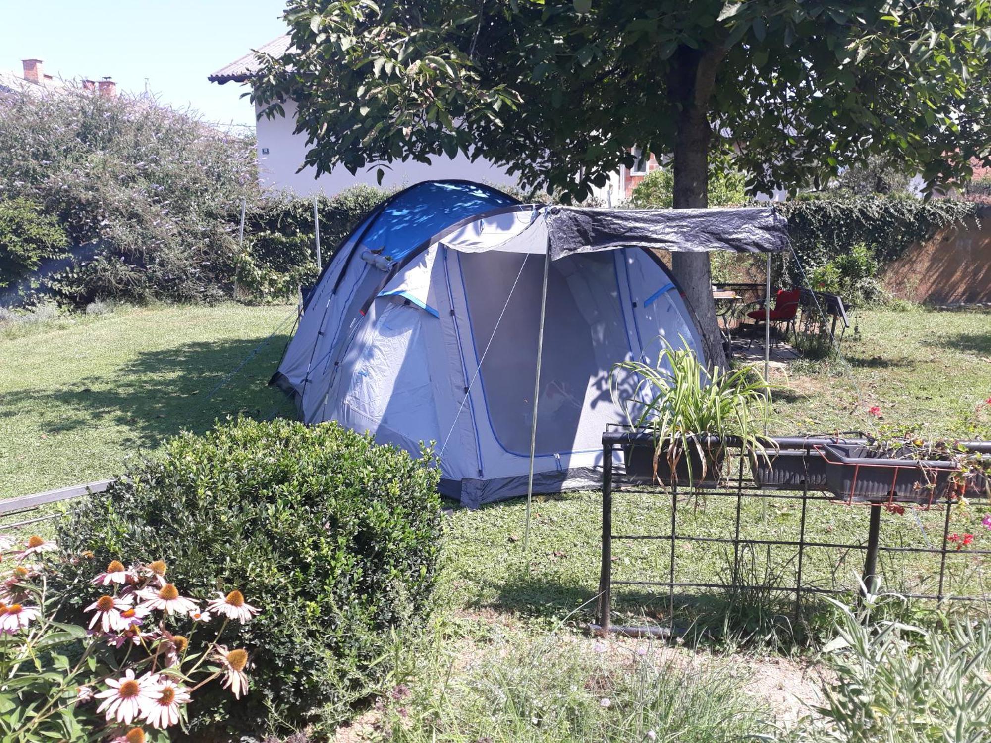 Camping Under The Walnut In Your Own Tent On A Shared Lot And Shared Bathroom Ljubljana Exterior photo